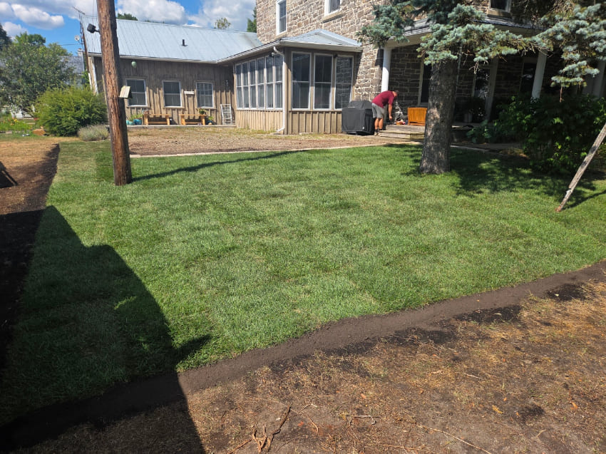 sod and soil transformation