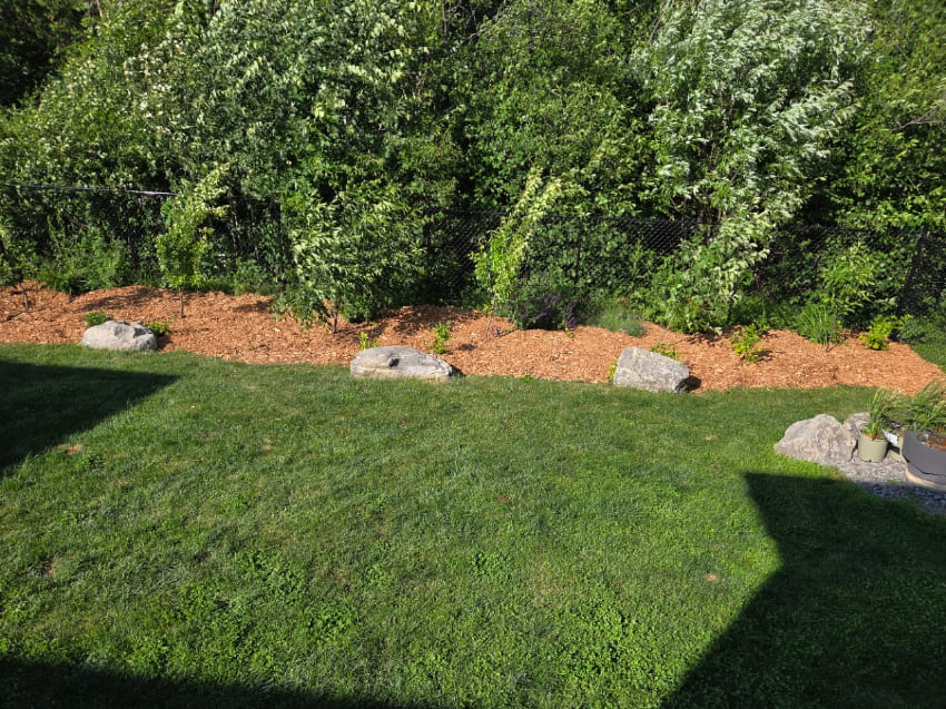 Mulch and stones alongside forest