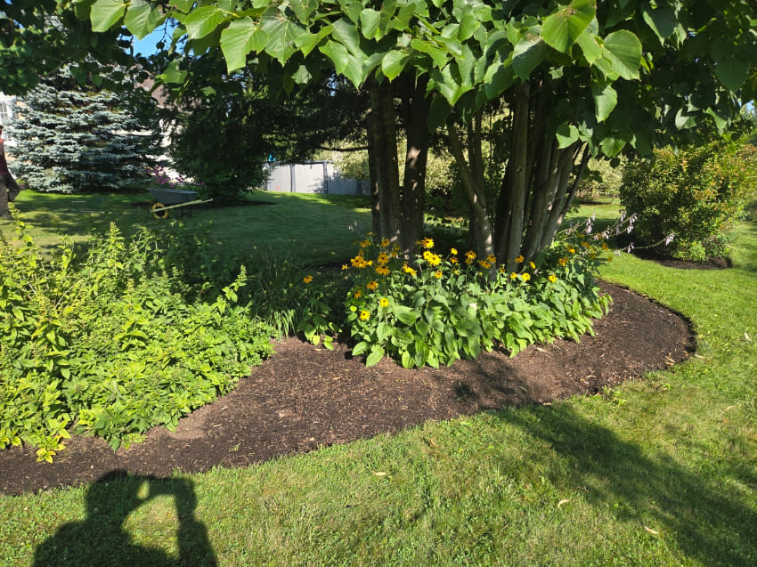 Cleaned up garden in front of house