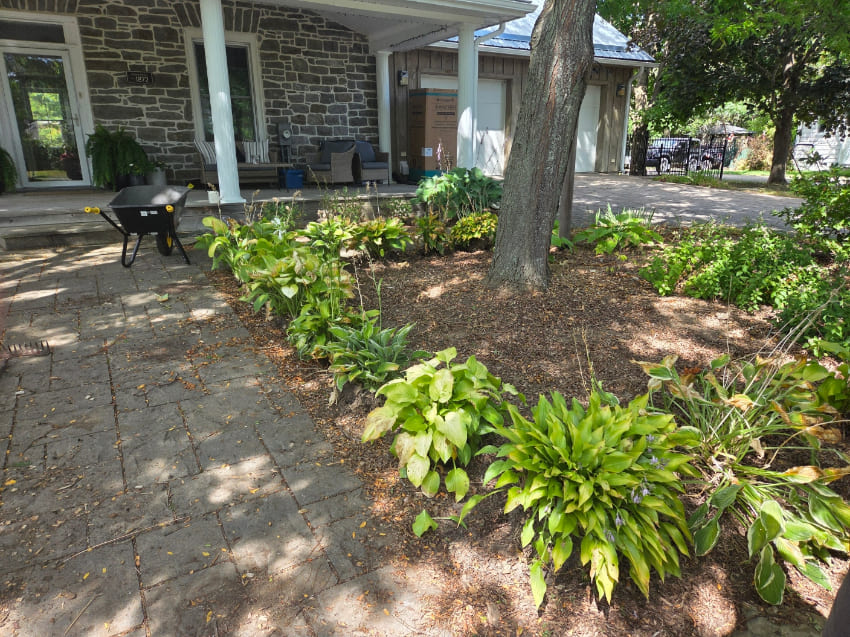 Garden installation along walkway